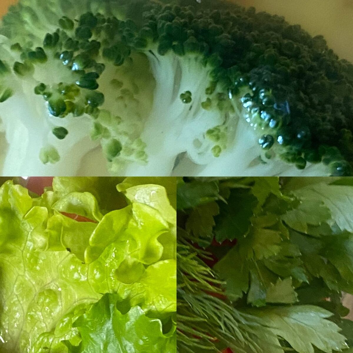 Капуста, зелень