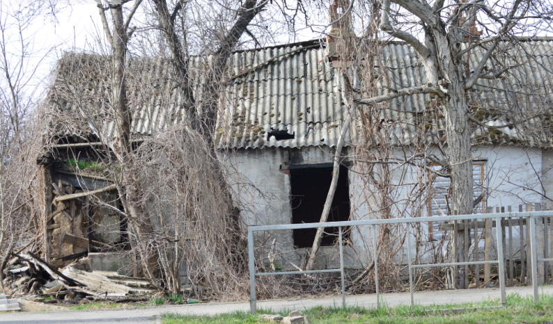 Фото автора. 19.03.2026. Всему своё время.