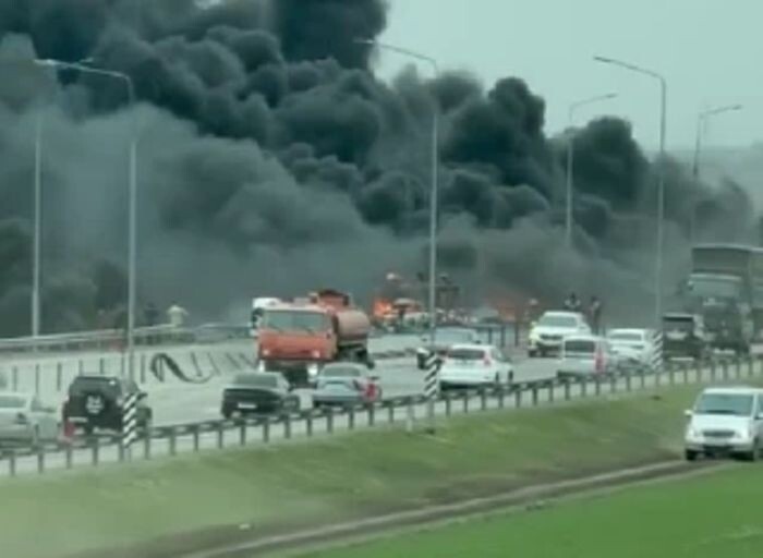 Иллюстрация: соцсети