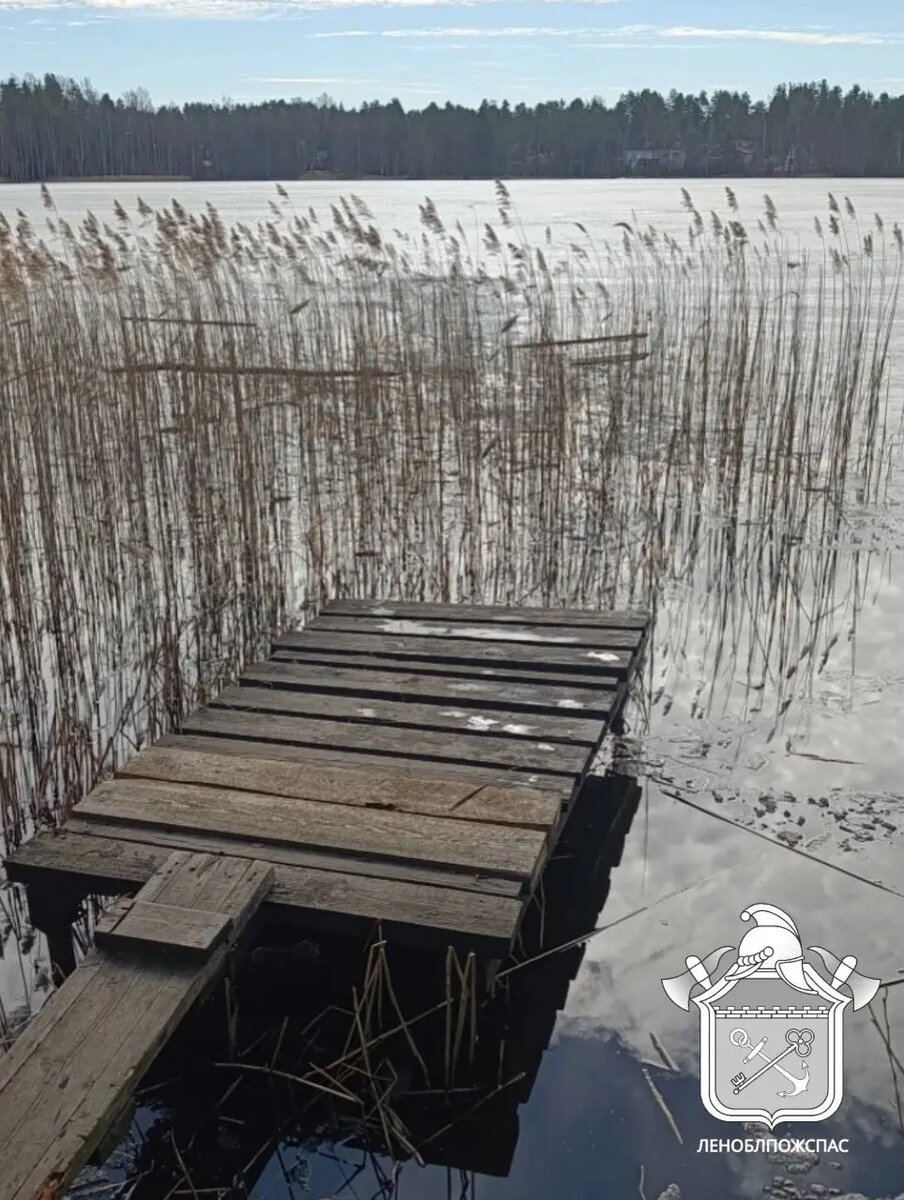    Фото: пресс-служба Леноблпожспаса