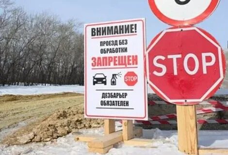 Изъятие скота у фермеров Новосибирской области вызывает больше вопросов, чем ответов на них.