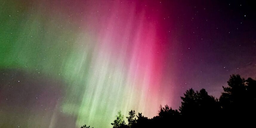    Ленинградская область (г. Сосновый бор)https://t.me/lpixras/2276 / @katrina_alexs