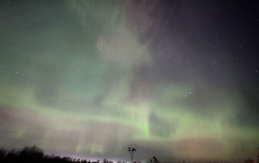    Ленинградская областьhttps://t.me/lpixras/2276 / @eva_sundance