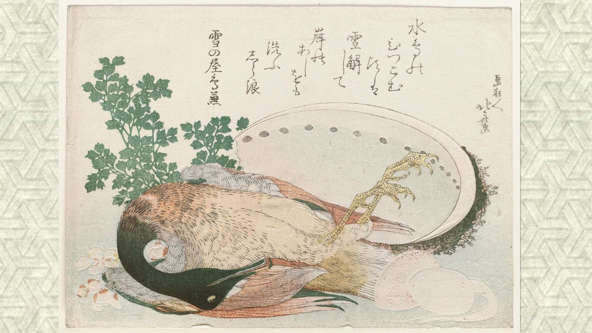 Утка с сэри, Хокусай
Хокусай, Натюрморт. Суримоно, цветная гравюра на дереве, между 1805 и 1810 гг. Птица, яйца, морская раковина и даже текст стихотворения нас здесь не интересуют. Обратите внимание на зеленую веточку. Это и есть омежник сэри.