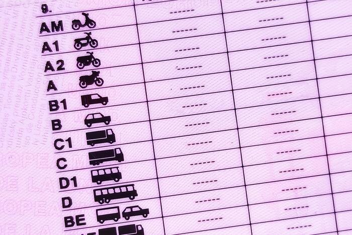 Обложка © Shutterstock / FOTODOM / Lucia Fdez