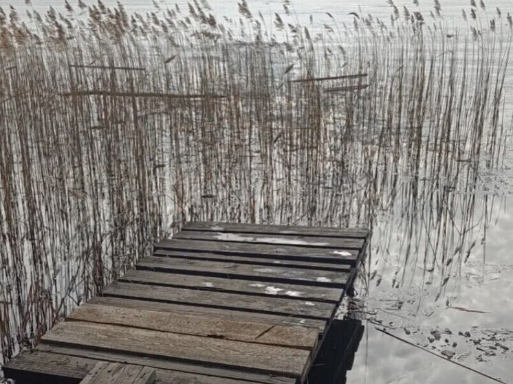     Фото: Пресс-служб Леноблпожспаса.