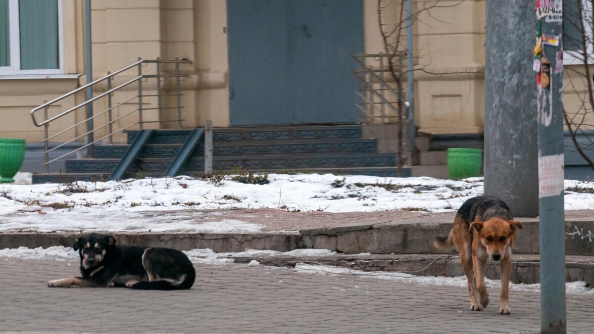 Фото: Svetlana Vozmilova/Global Look Press