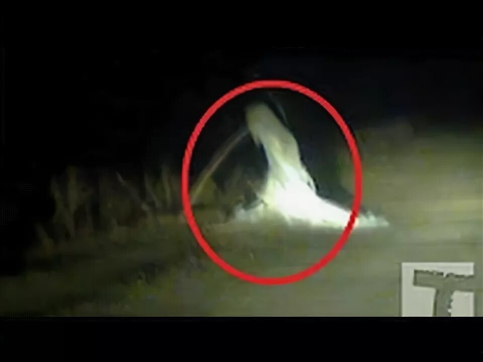 Фото из открытого источника 