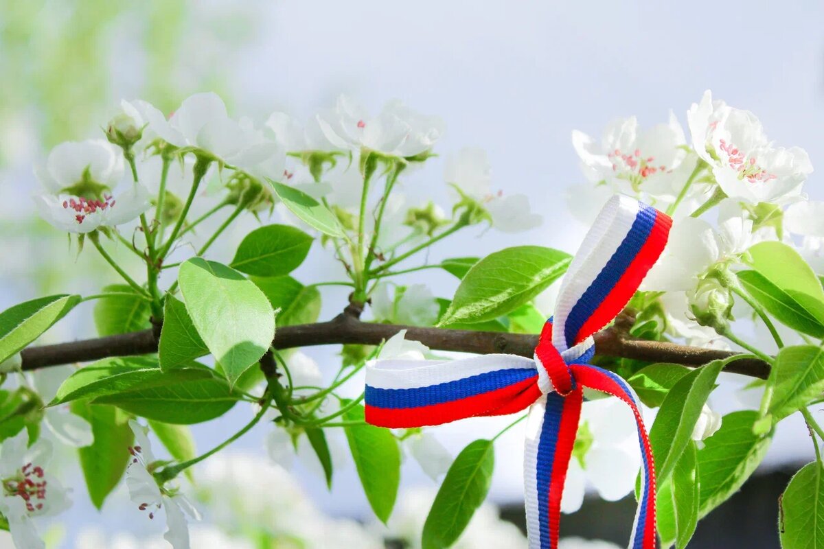    Фото: Shutterstock