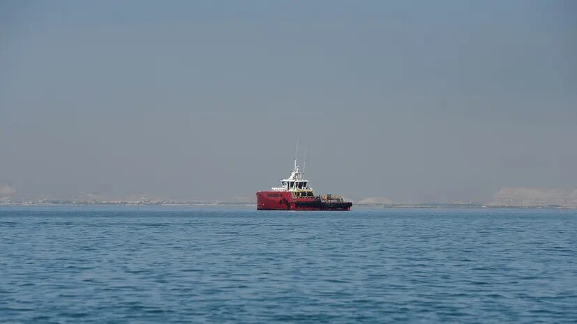    Источник: russian.rt.com Анна Сычева