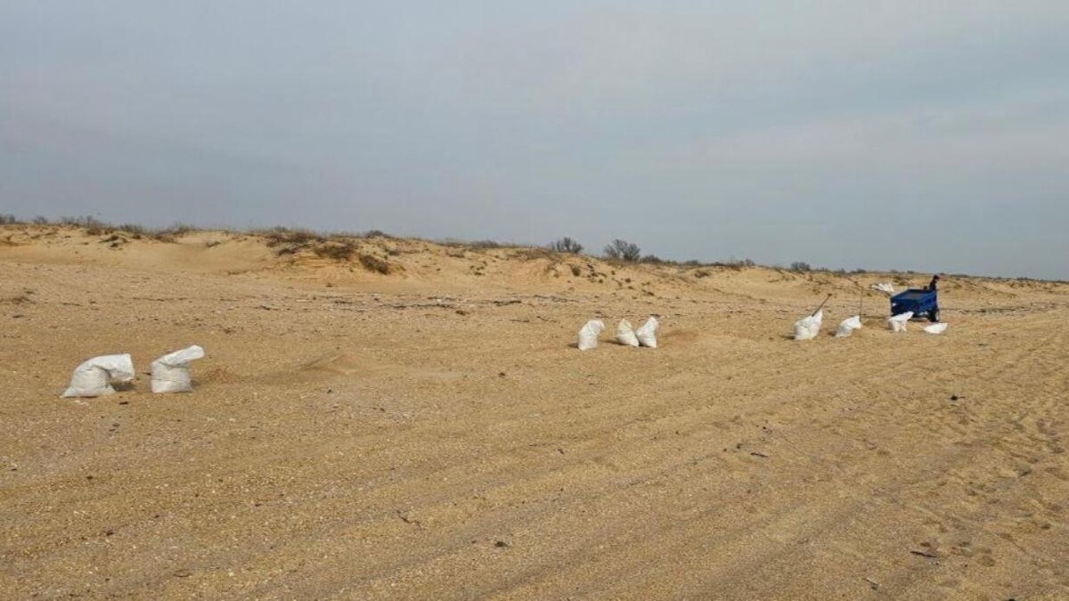 Фото: Евгений Витишко / Telegram