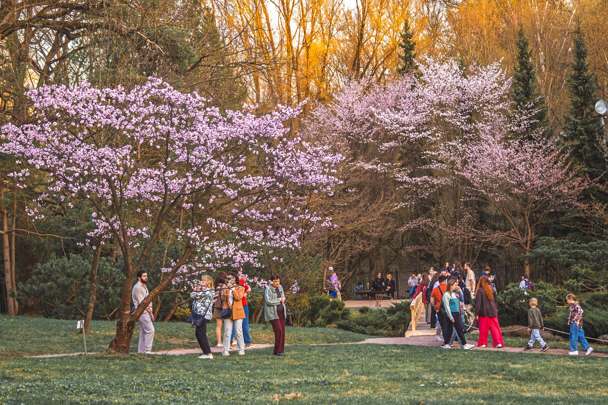 фото: vk.com/moscowbotanic