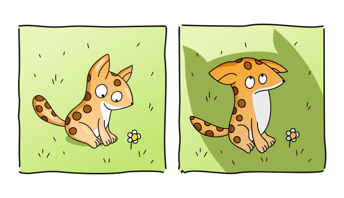 Бесконечный больничный и история про бенгальскую кошку