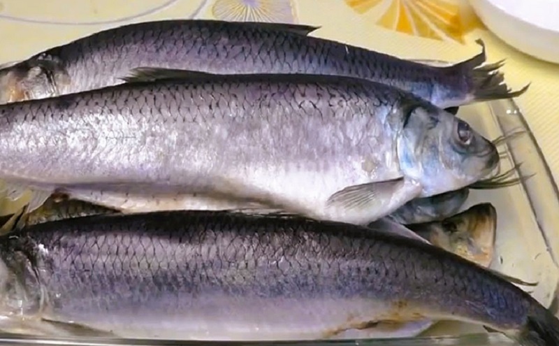 Пряная сельдь по ГОСТу: забытый вкус, который хочется повторять снова и снова