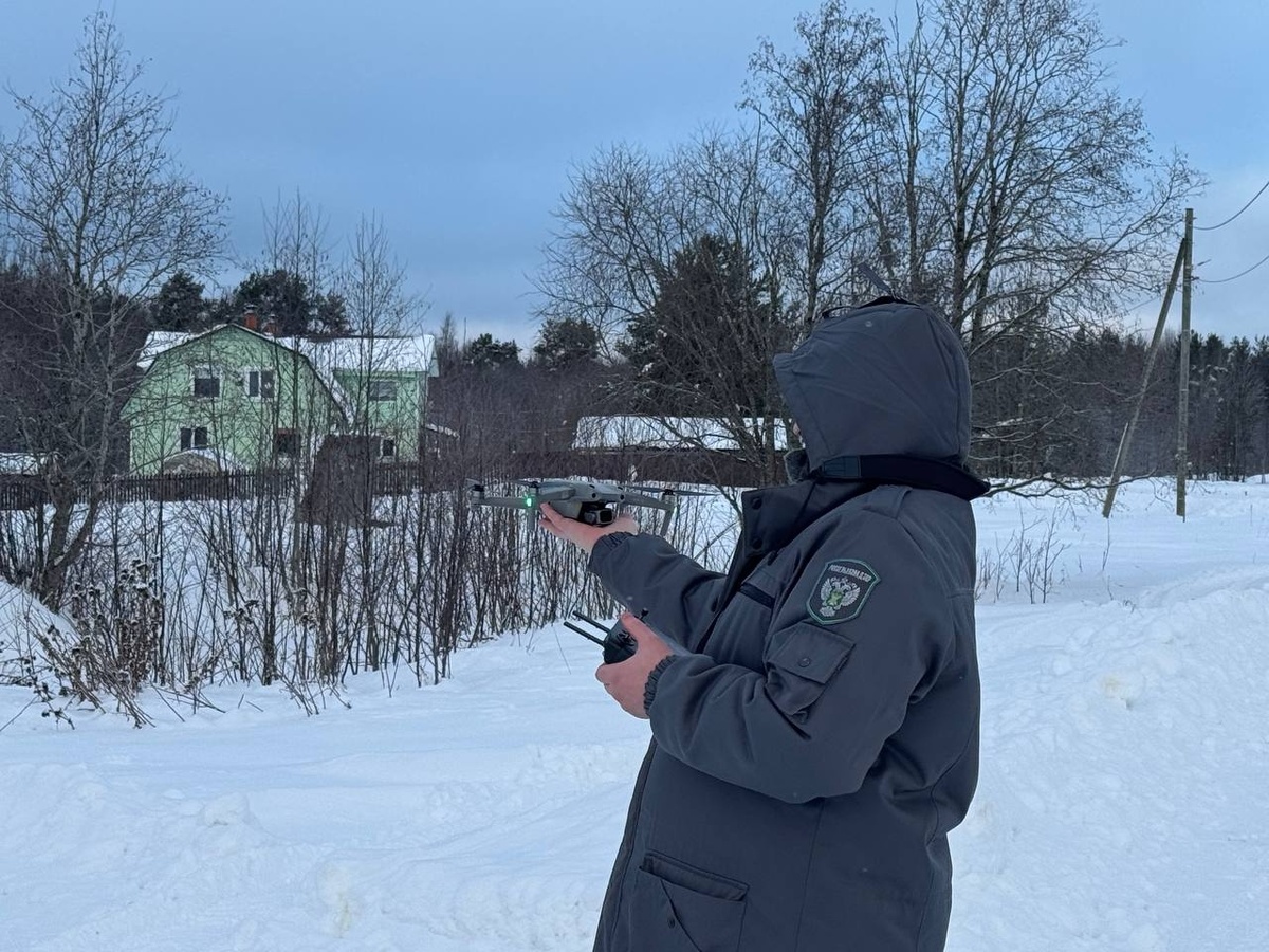    фото: https://vk.com/rshn10