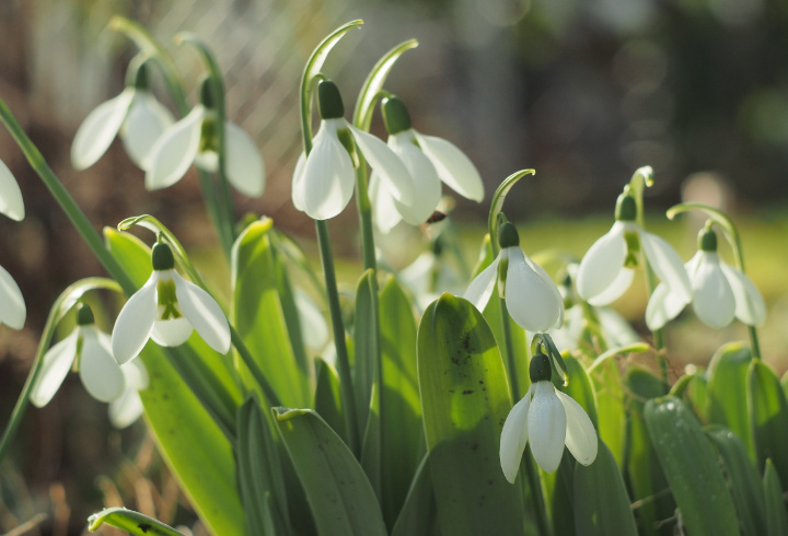 фото: pxhere.com