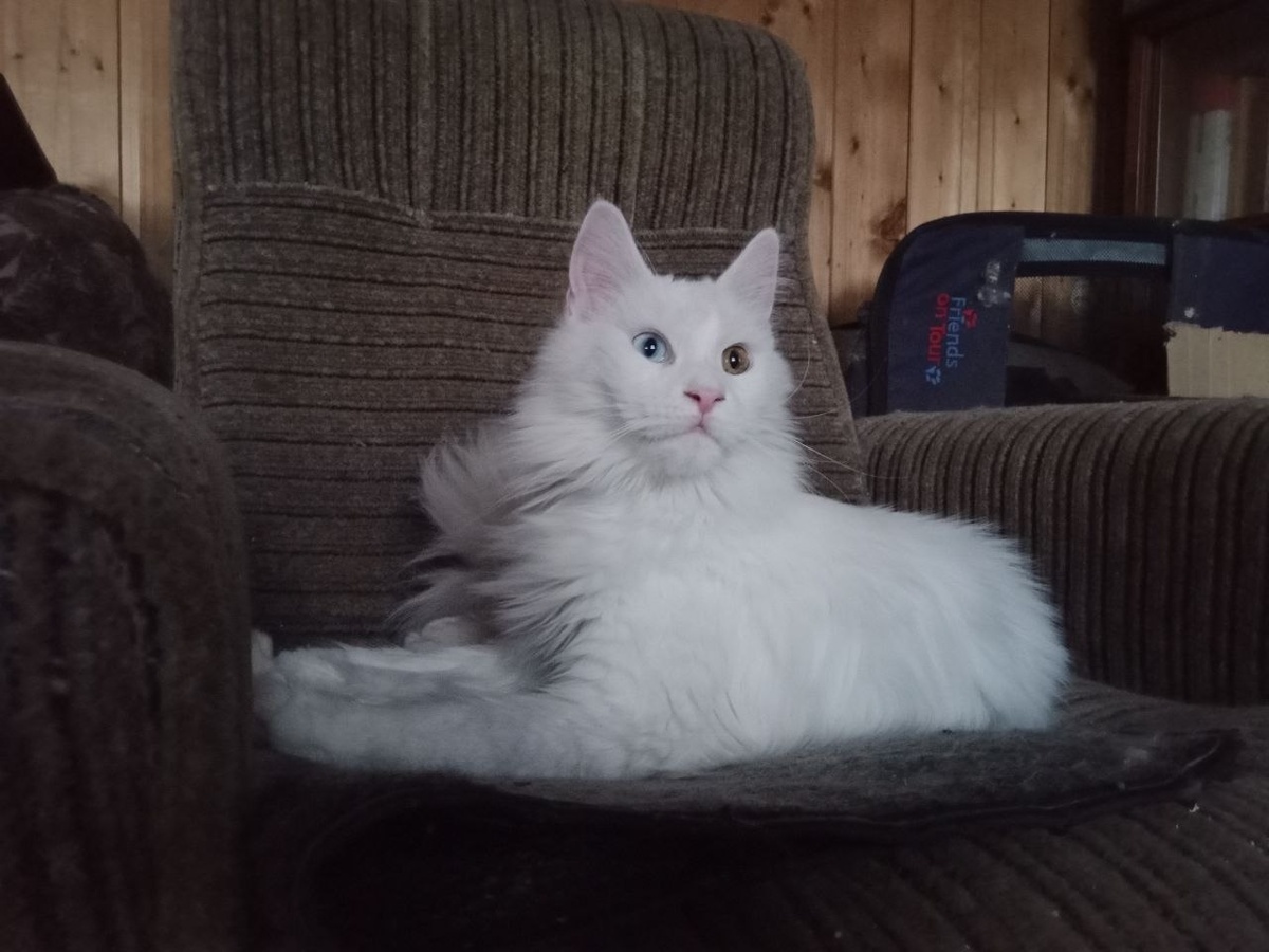   А вот так выглядит одна из тех малышей сейчас