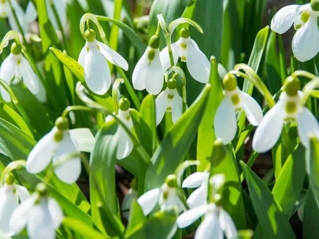    Фото: портал мэра и правительства Москвы/Юлия Иванко