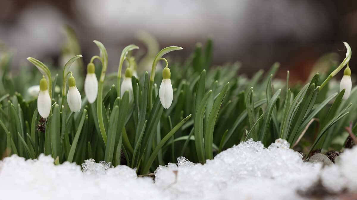    Фото: Виктор Хабаров / Вечерняя Москва