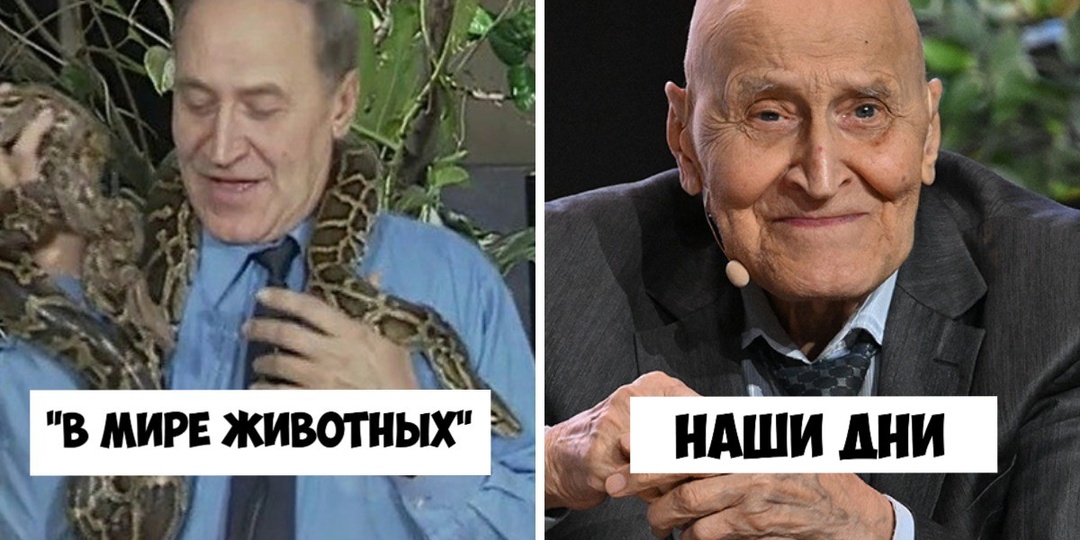 Как сложилась судьба пяти популярных советских телепередач и их ярких ведущих? Почему со временем программы утратили былую славу?