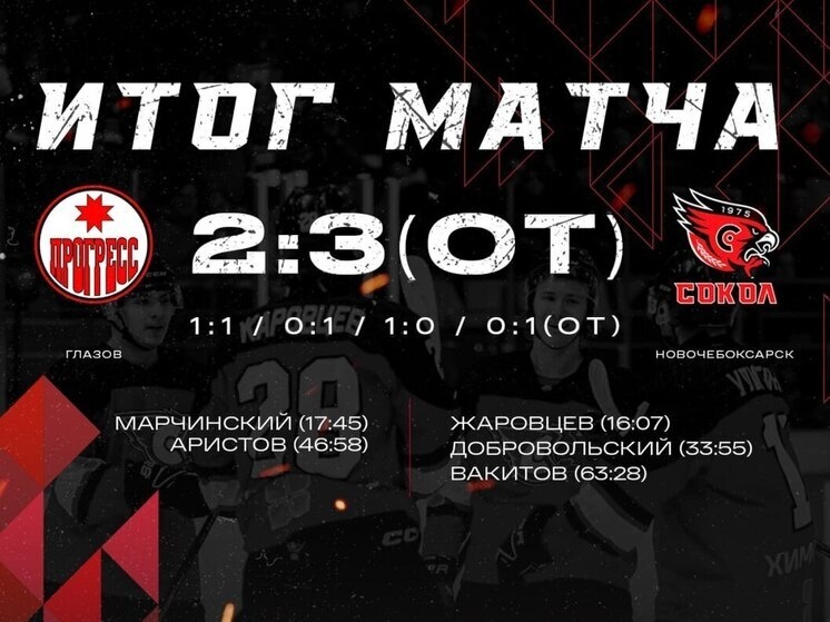     Иллюстрация: ХК "Сокол"