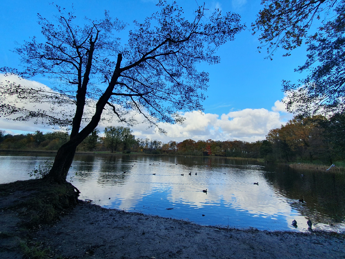 Фото собственность автора канала.