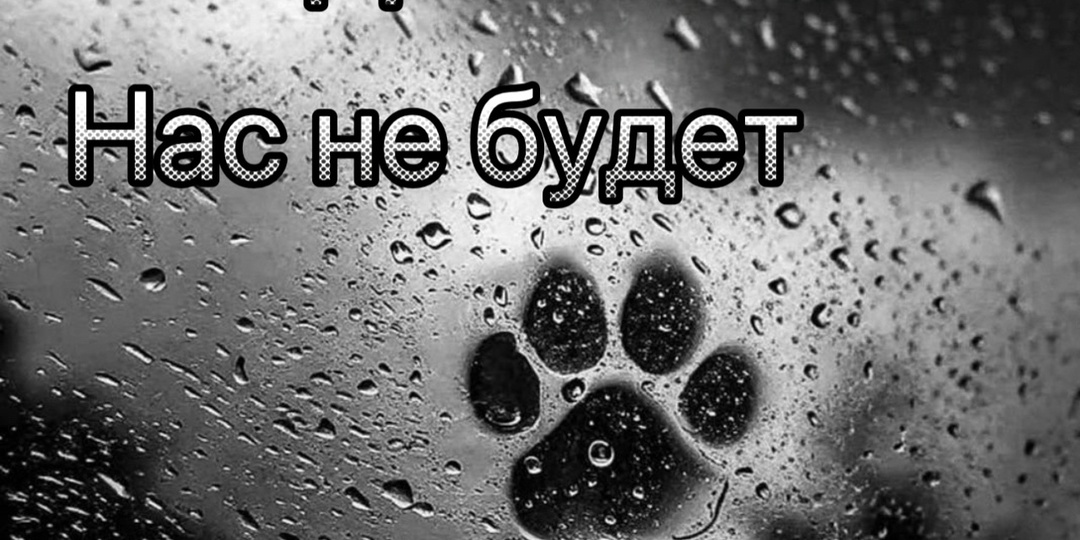 Друзья, у нас есть 3 дня, чтобы сохранить приют. Пожалуйста!!! Кто сколько может!!!