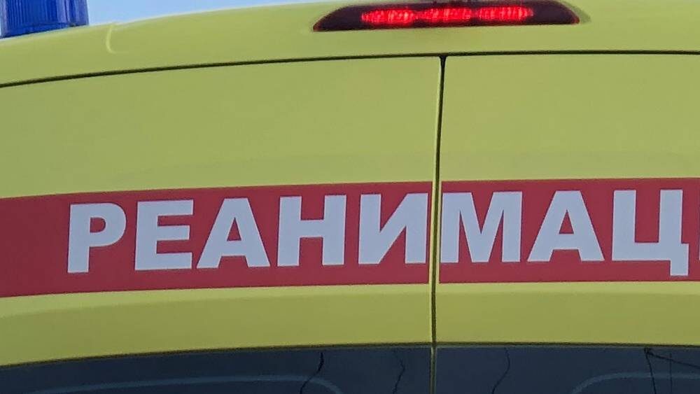     Фото: «Брянские новости»