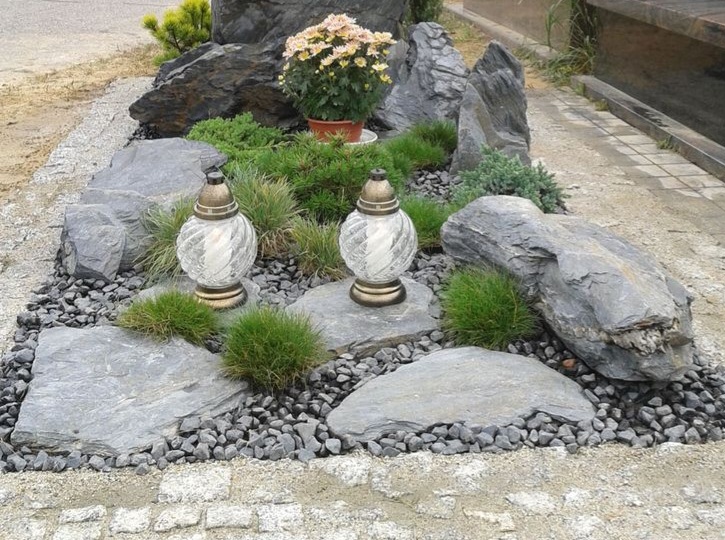 Какие растения лучше посадить на кладбище — экспертный гид