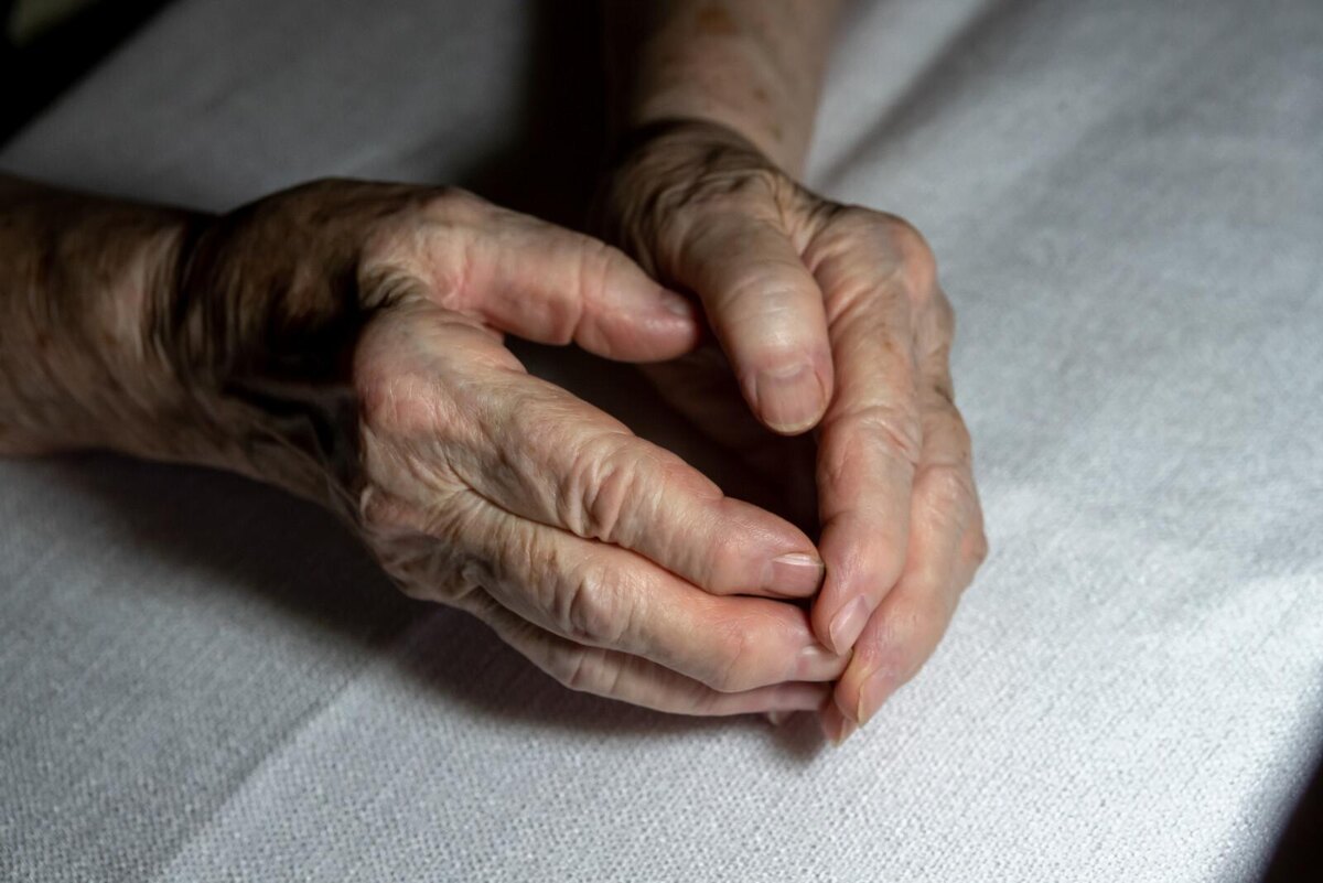 Фото: Олег Золото / «Петербургский дневник»