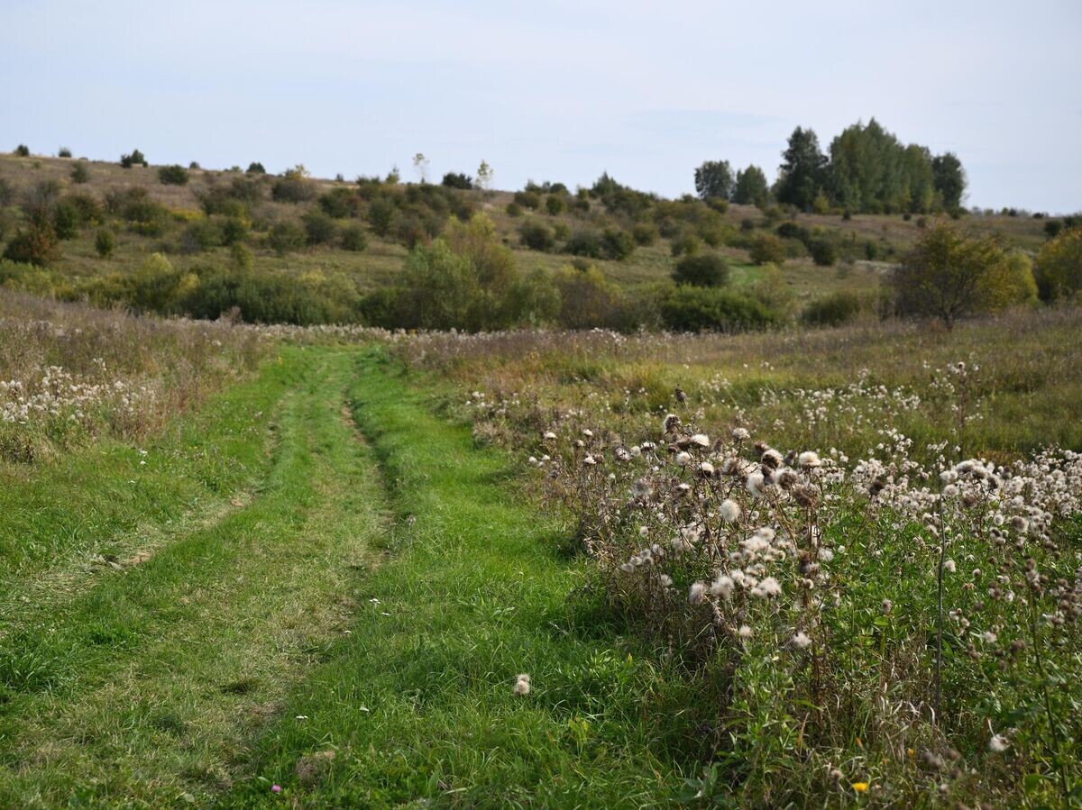    Историко-экологическая туристическая тропа на Куликовом поле | © РИА Новости / Кирилл Зыков