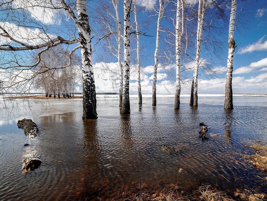 Весеннее половодье.