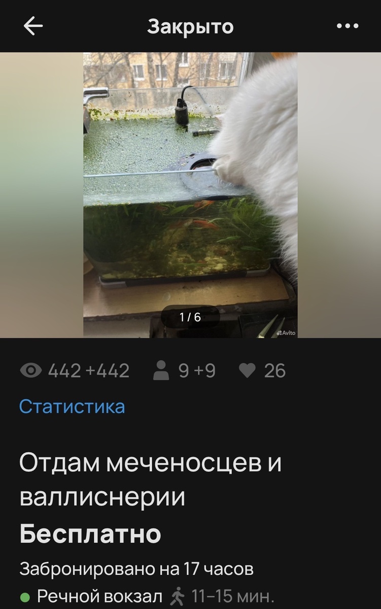 Скрин с авито
