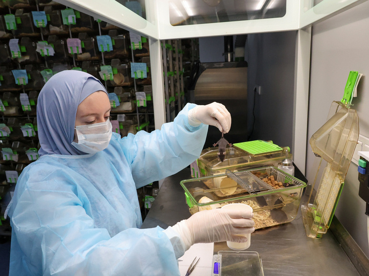     Belkin Alexey / news.ru / Global Look Press