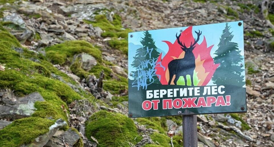    РИА «Новости»