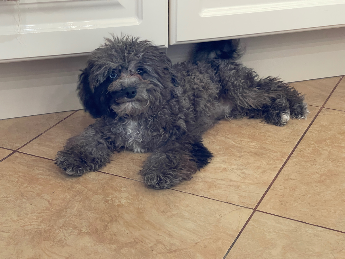 Ну а поиграв с Соней, я вот так вот ложусь и отдыхаю. Но недолго! У меня потом еще столько дел! Прям делать — не переделать!