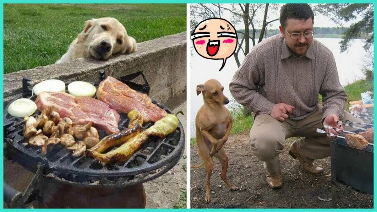 Фотография из интернета