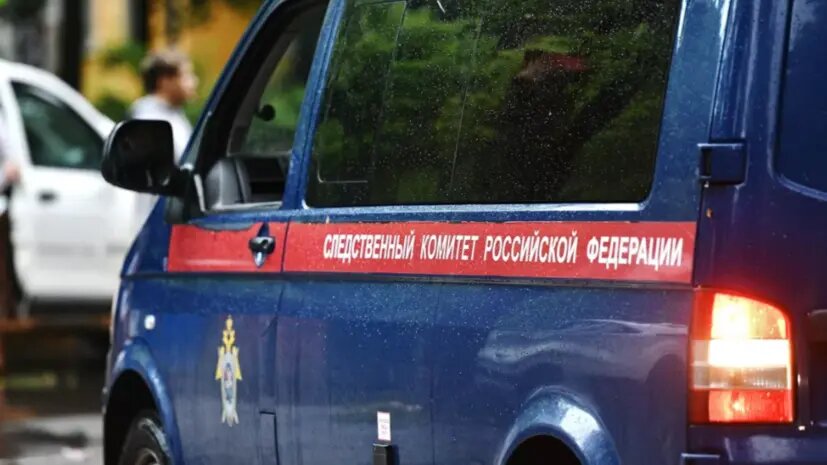    Источник: russian.rt.com Мила Кузнецова