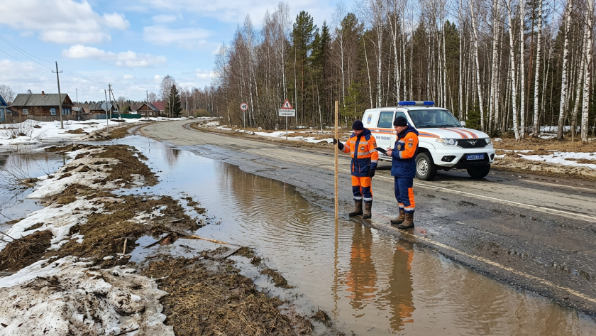    Фото ИИ progorodnn.ru