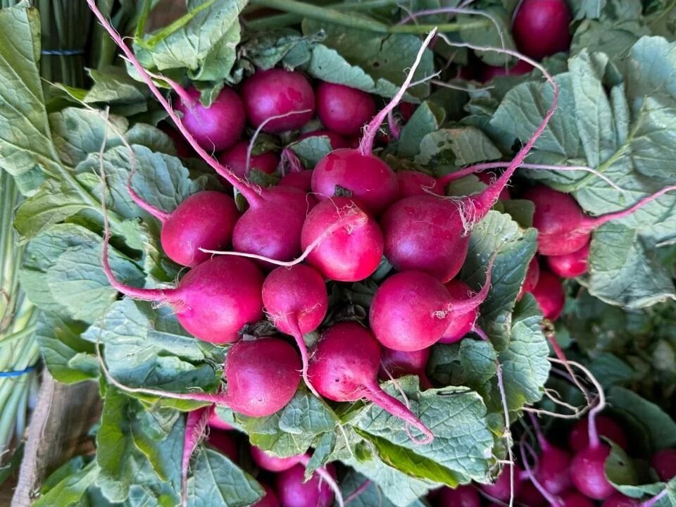 Фото: UfaTime.ru