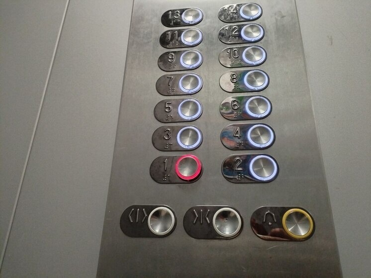     Фото: Архив МК в Ленобласти.