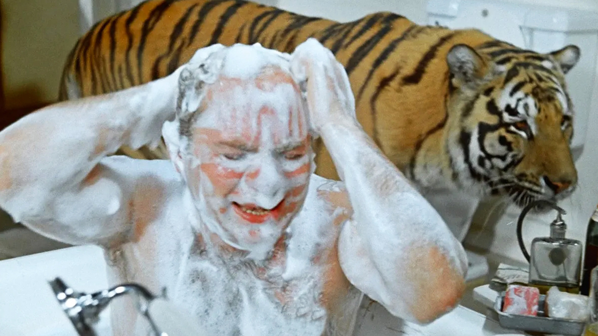 фото из открытого источника