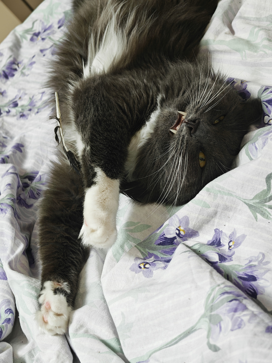 Фото автора канала.