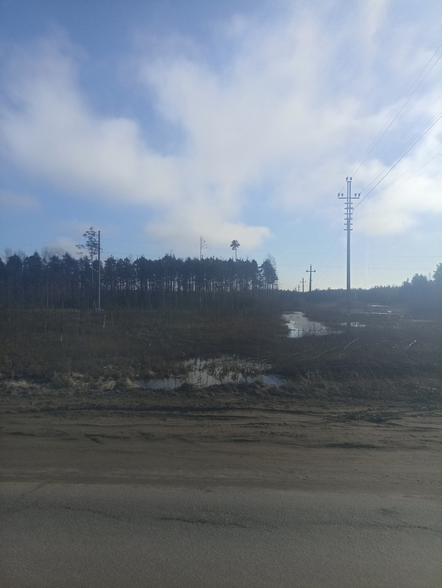 Настолько сильно местность заболочена 