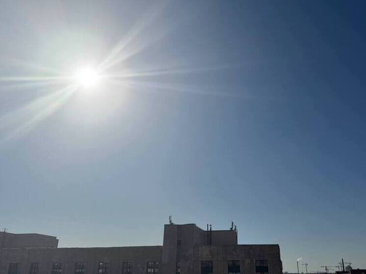     Фото: Архив МК в Ленобласти.