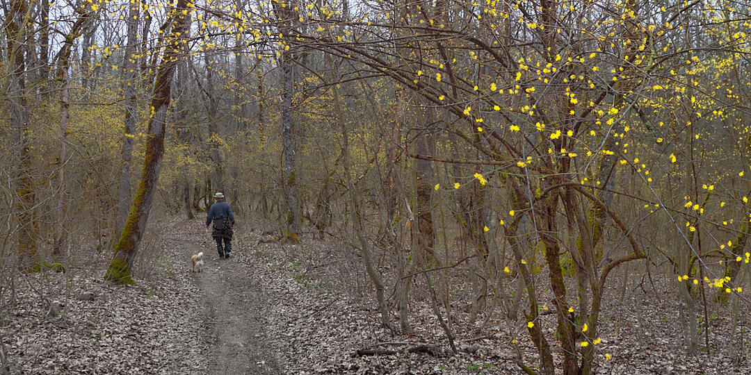 Горячий Ключ. Прогулка в лесу.