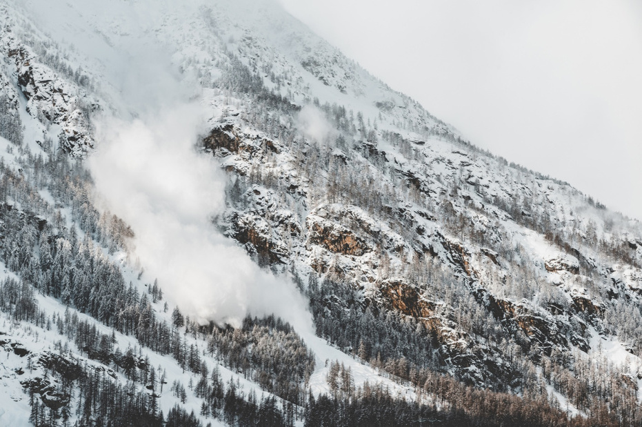    Shutterstock/FOTODOM