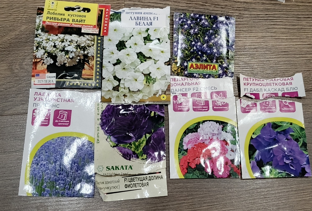 Белая лобелия, белая петуния, фиолетовая лобелия, лаванда, ранункулюс, пеларгония зональная (оттенки розового), фиолетовая петуния.