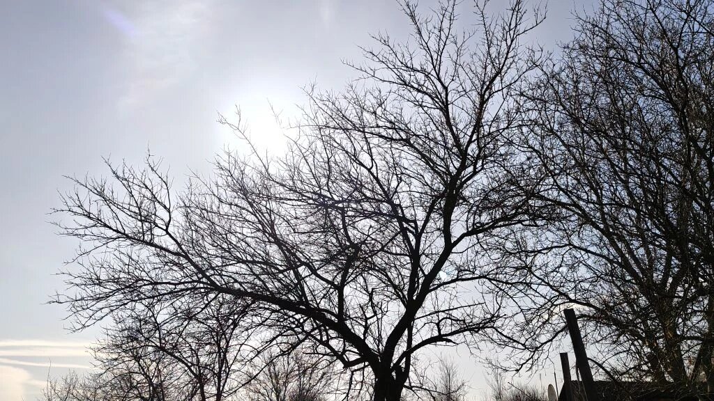    Фото: кадр 1Rnd