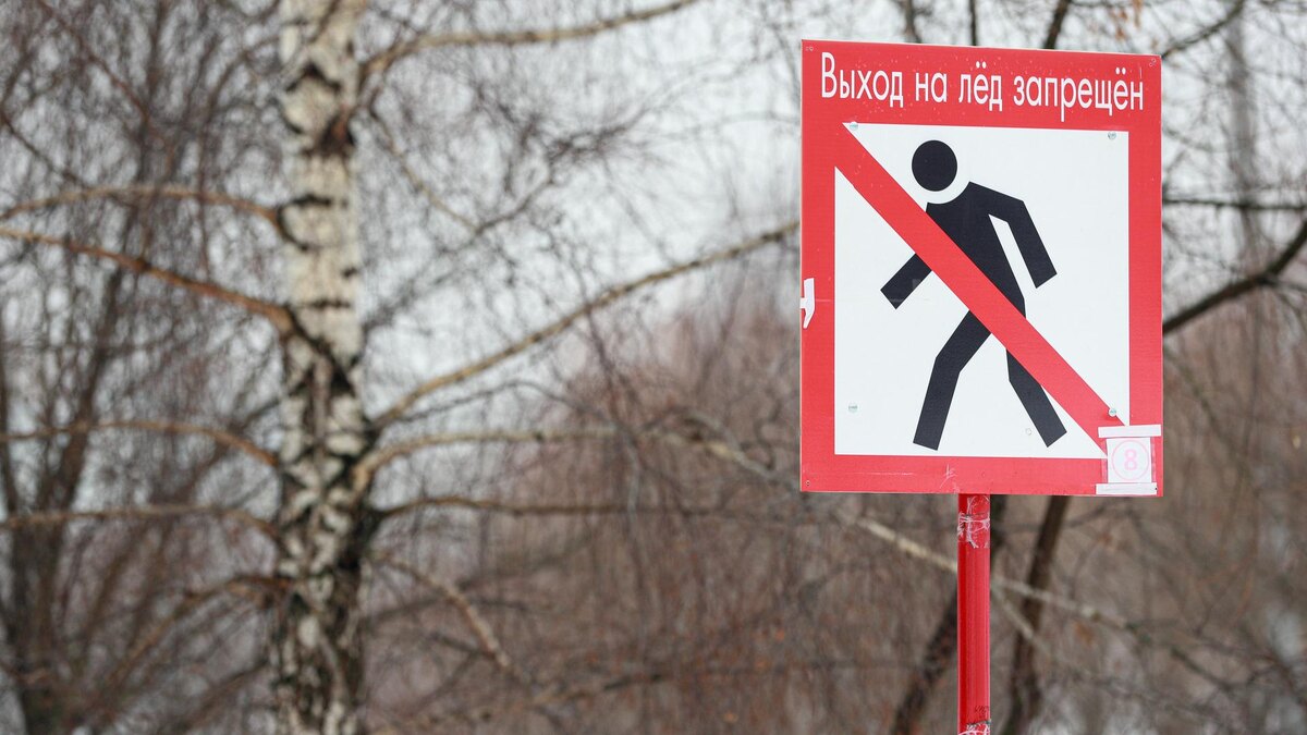    Фото: Bulkin Sergey/news.ru